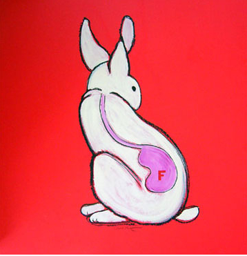 F in Rabbit | Mixed Media | Little Finch Designs