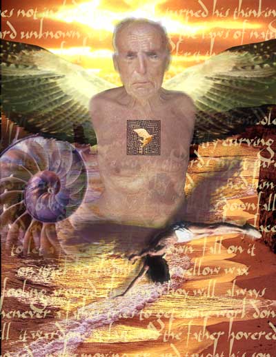 Icharus | Digital Collage | Little Finch Designs