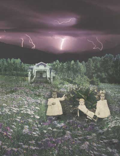 In the Meadow (Sadly Beautiful Series) | Digital Collage | Little Finch Designs