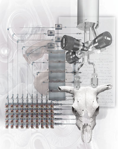 Medicine Man | Digital Collage | Little Finch Designs