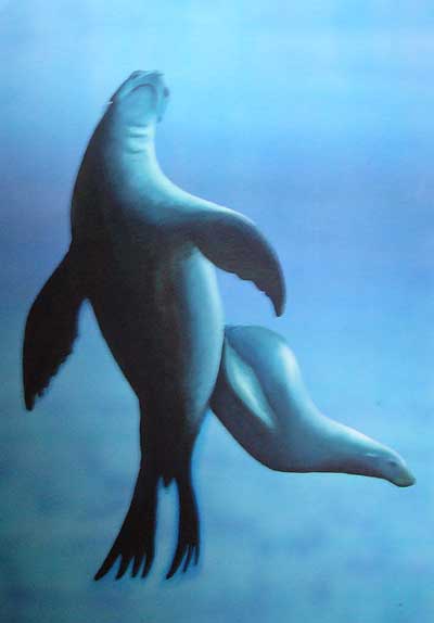 Sea Lions | Mixed Media | Little Finch Designs