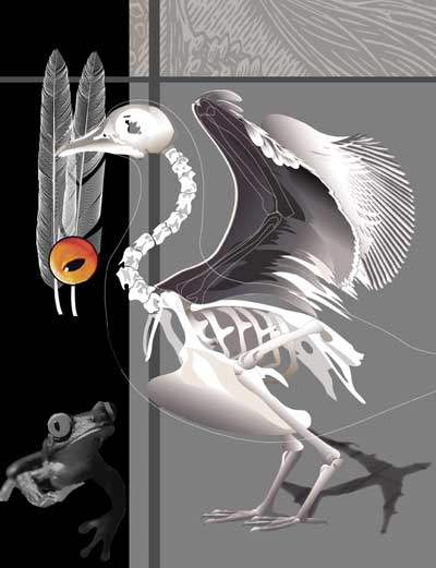 Taking Flight | Digital Collage | Little Finch Designs