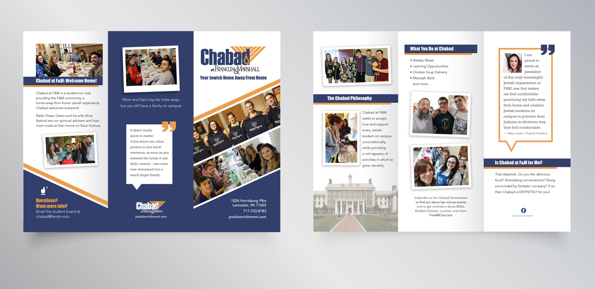 Chabad at F&M Brochure | Little Finch Designs