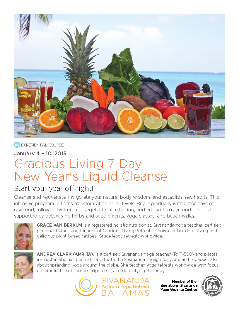 Sivananda Ashram Yoga Retreat Poster January 2015 | Little Finch Designs