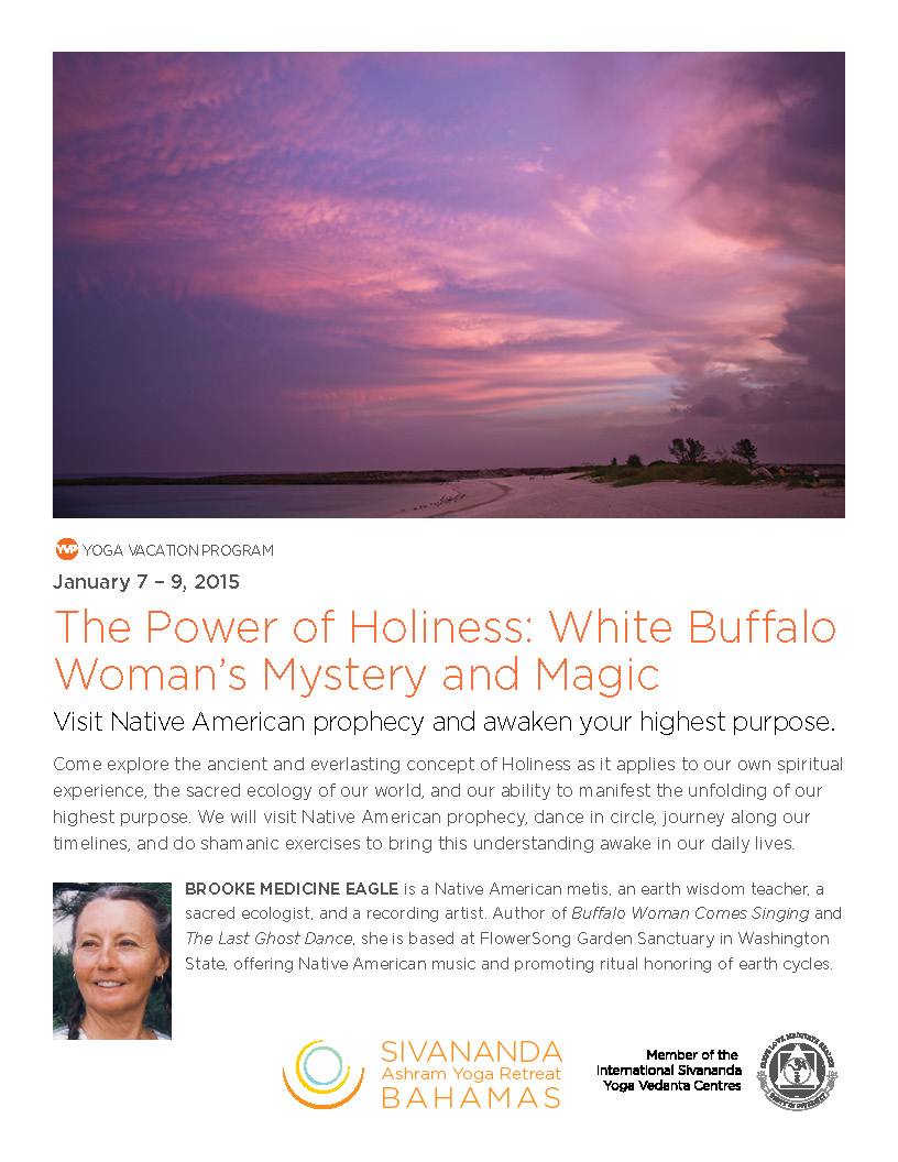 Sivananda Ashram Yoga Retreat Poster January 2015 | Little Finch Designs