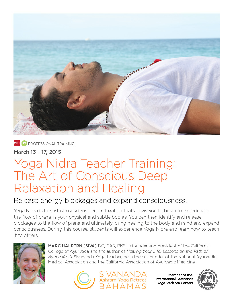 Sivananda Ashram Yoga Retreat Poster March 2015 | Little Finch Designs