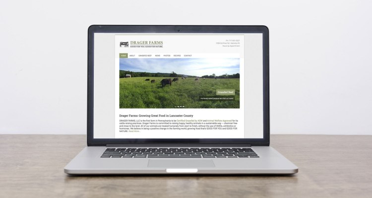 E-Commerce Website | Little Finch Designs