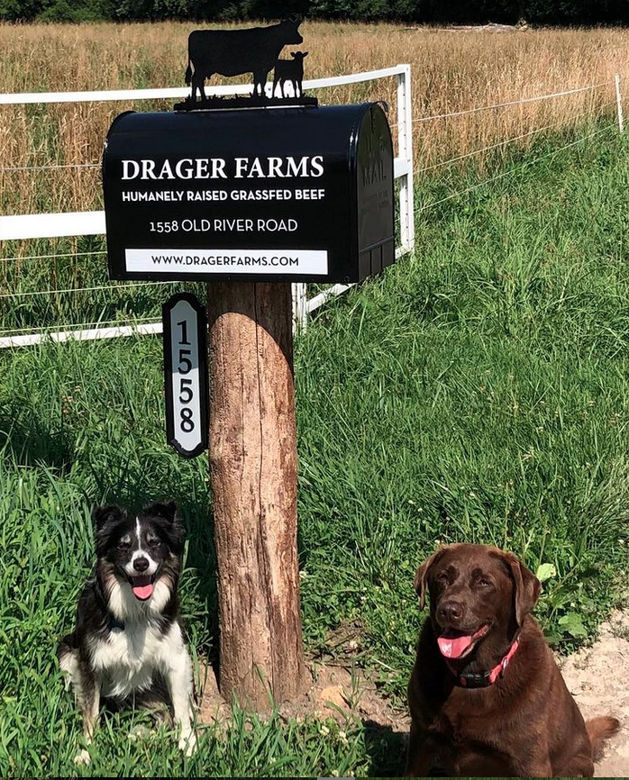 Drager Farms Mailbox | Little Finch Designs