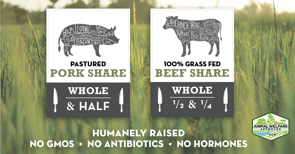 Facebook Promo Image | Little Finch Designs